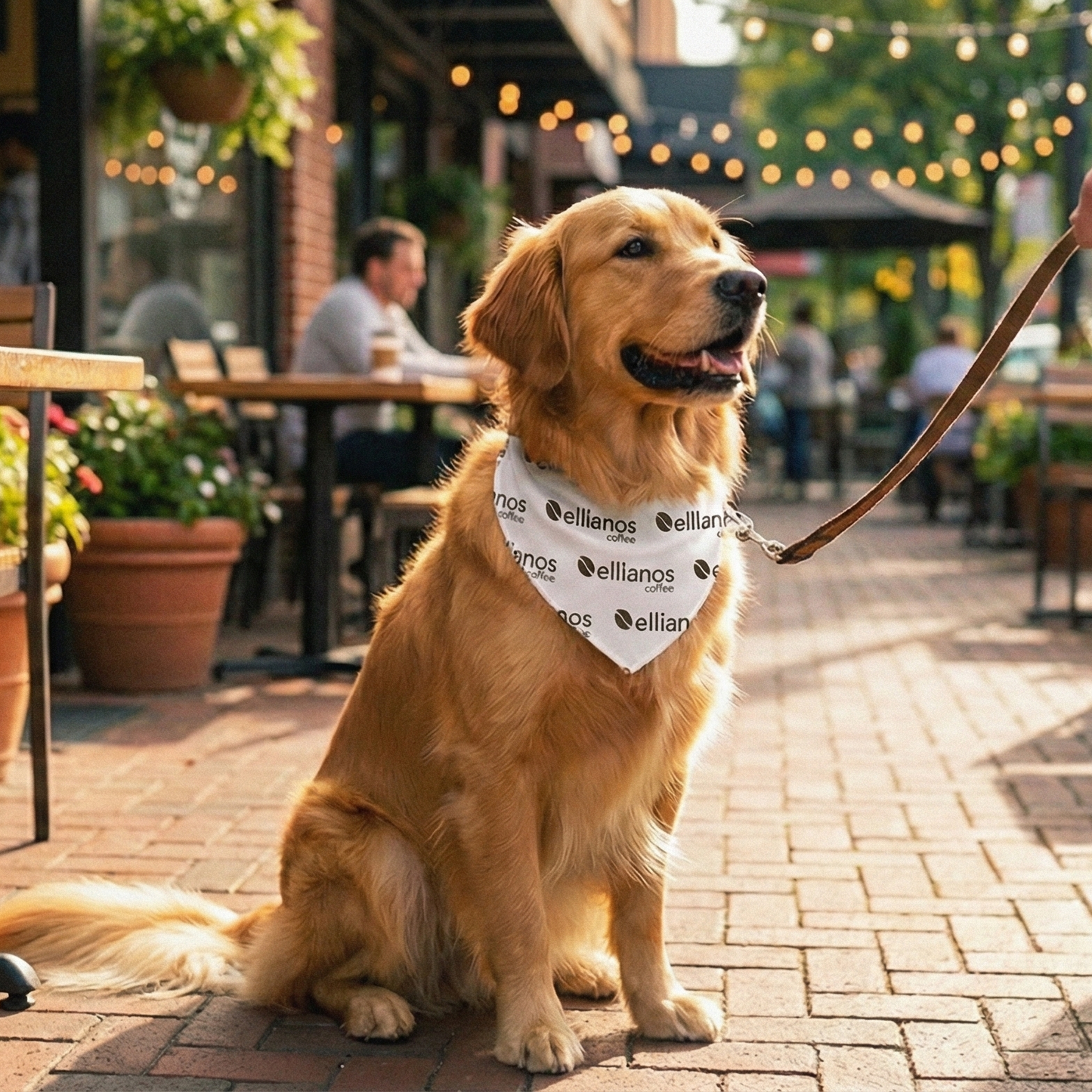 Ellianos Coffee Pet Bandana Collar
